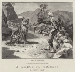 A Merciful Tigress
